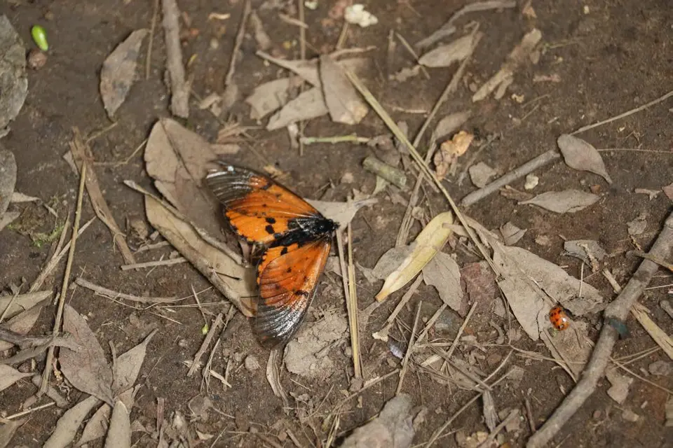 KZN10.12.jpg(37).jpg