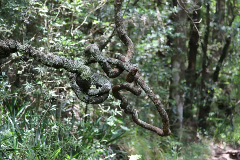 KZN10.12.jpg(54).jpg