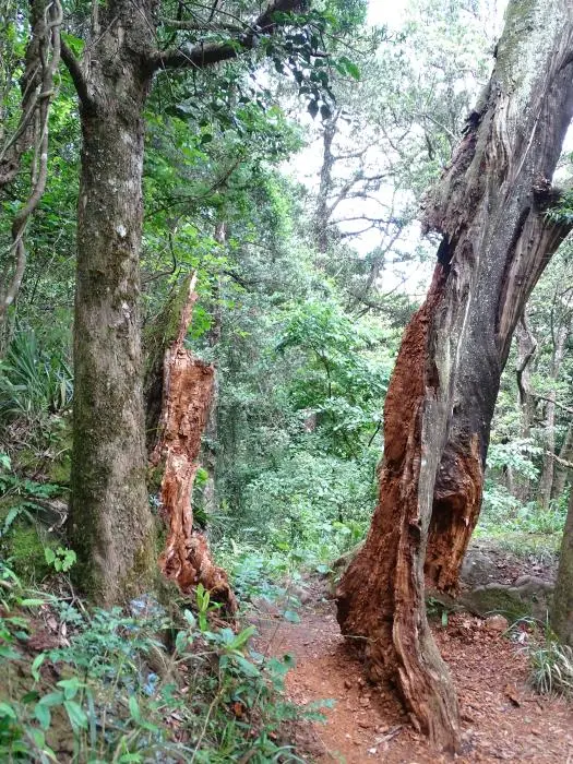 KZN10.12.jpg(92).jpg