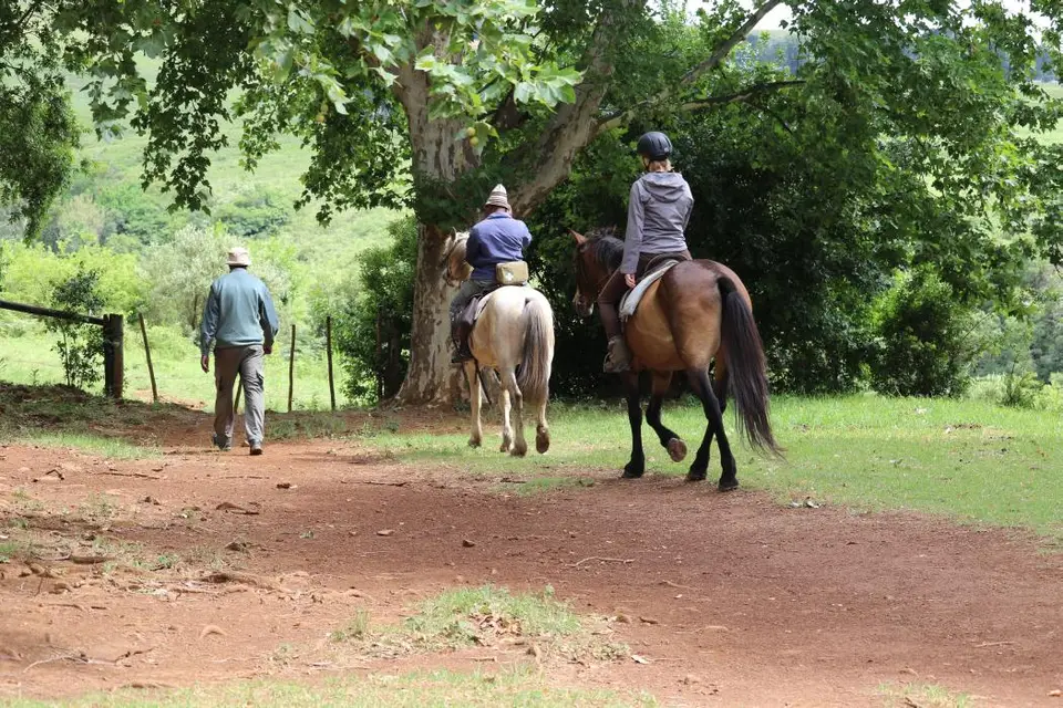KZN11.jpg(21).jpg