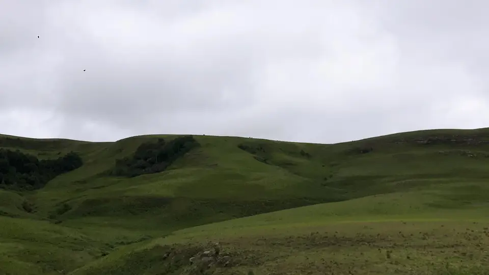 KZN11.jpg(25).jpg