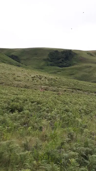 KZN11.jpg(27).jpg