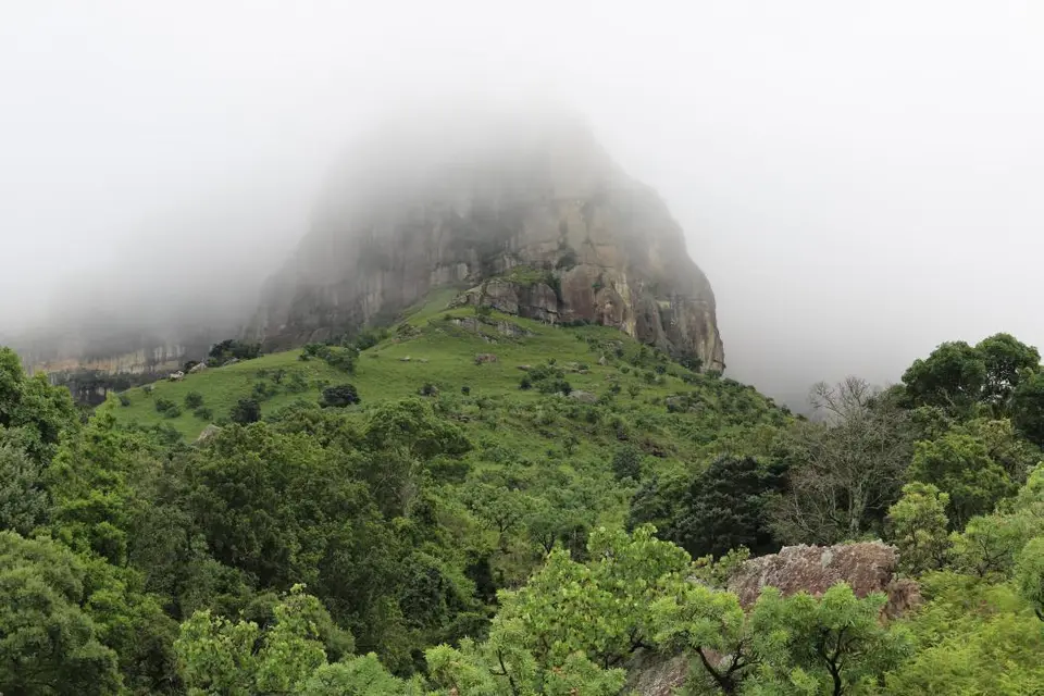 KZN11.jpg(32).jpg