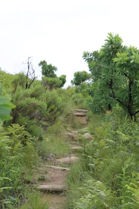 KZN11.jpg(34).jpg