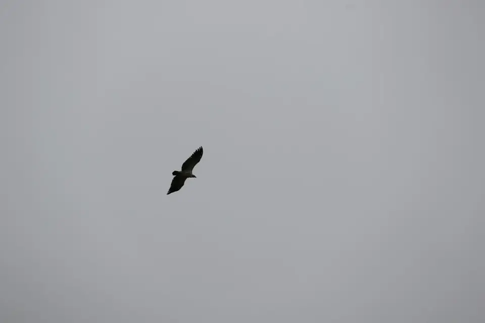 KZN11.jpg(40).jpg