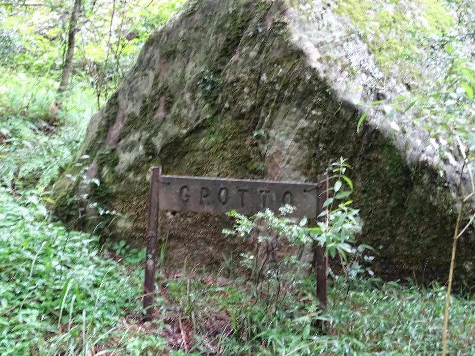 KZN11.jpg(66).jpg
