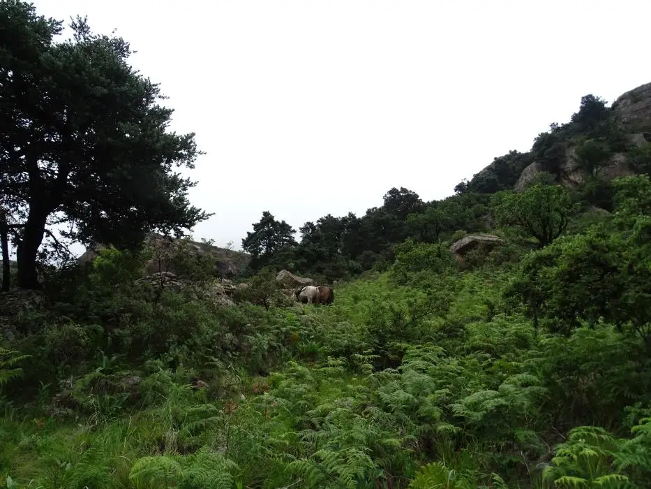 KZN11.jpg(72).jpg