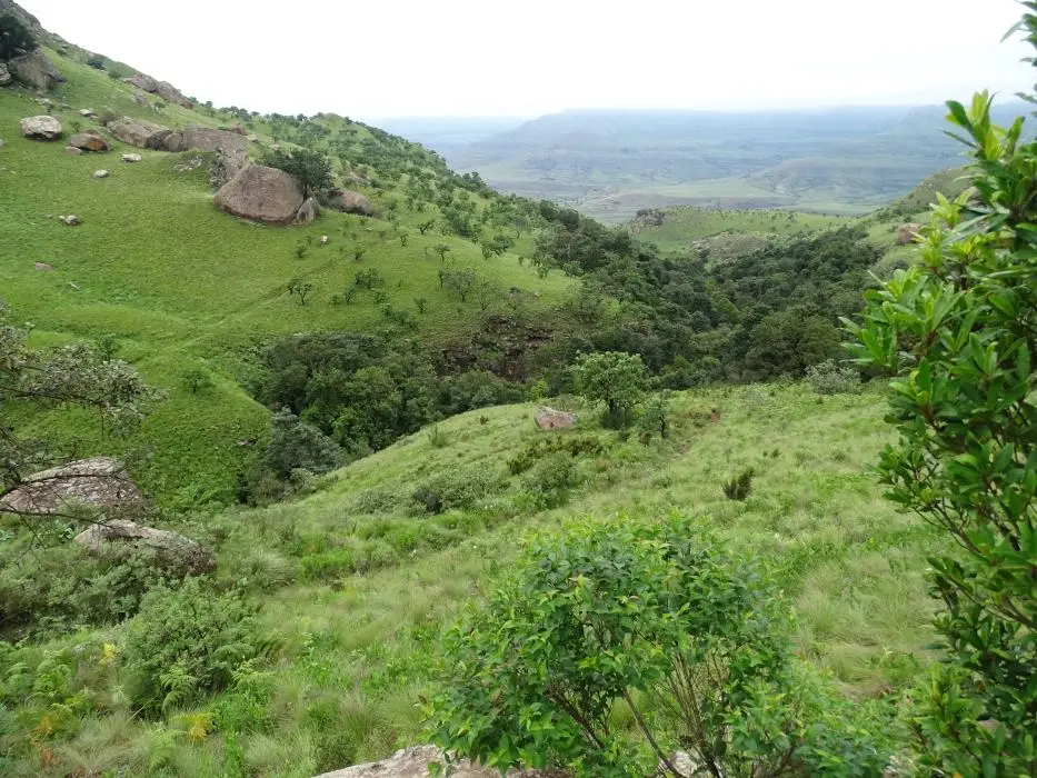 KZN11.jpg(74).jpg