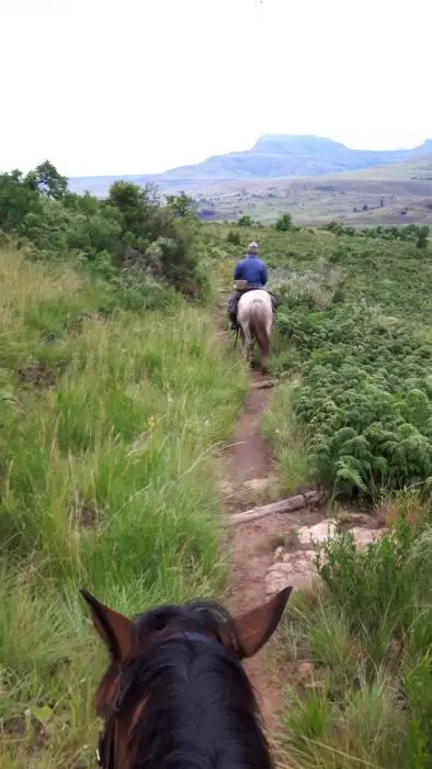 KZN11.jpg(79).jpg