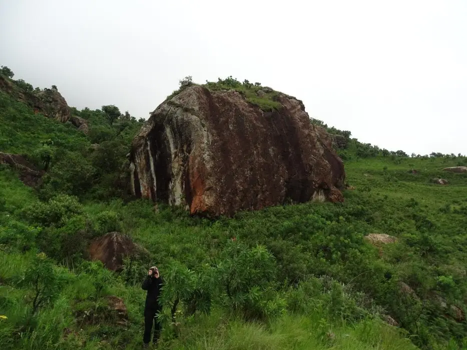 KZN11.jpg(85).jpg