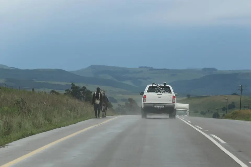 KZN12.jpg(78).jpg