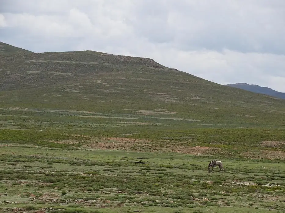 KZN13.jpg(131).jpg