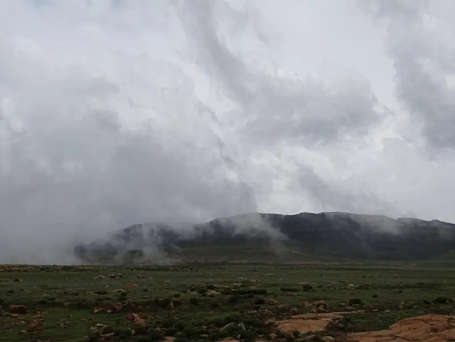 KZN13.jpg(133).jpg