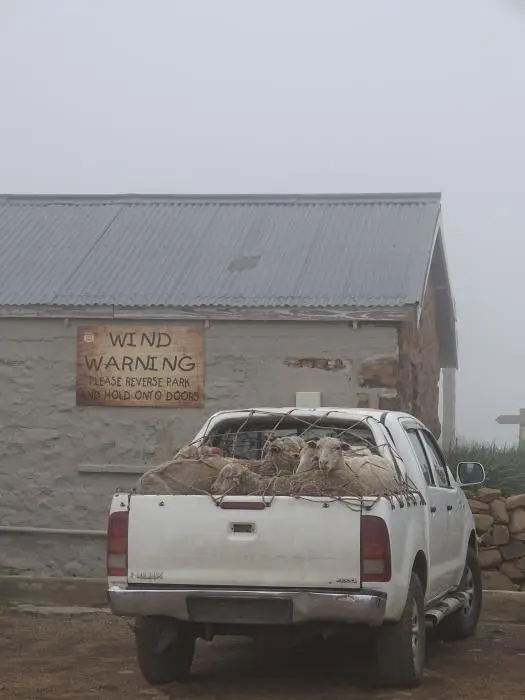 KZN13.jpg(139).jpg