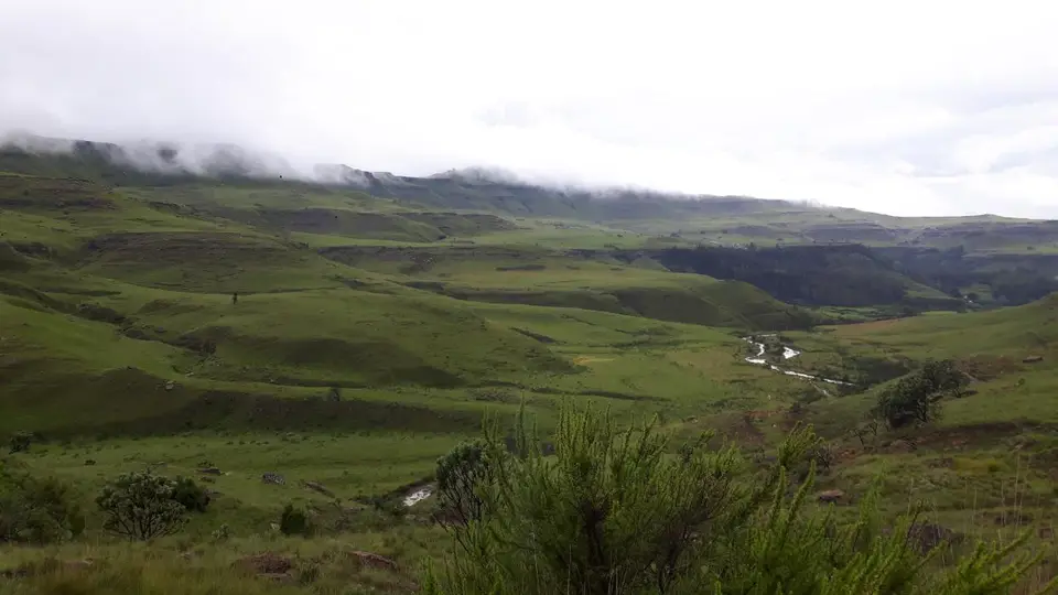 KZN13.jpg(165).jpg