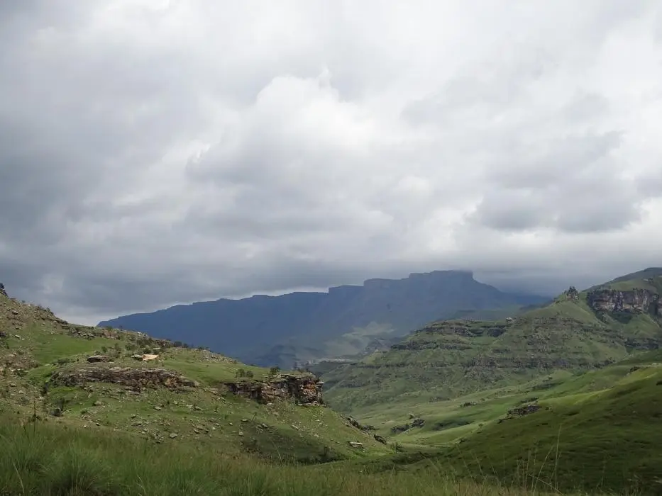 KZN13.jpg(34).jpg
