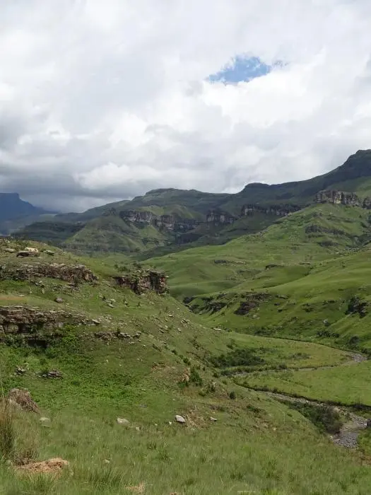 KZN13.jpg(37).jpg