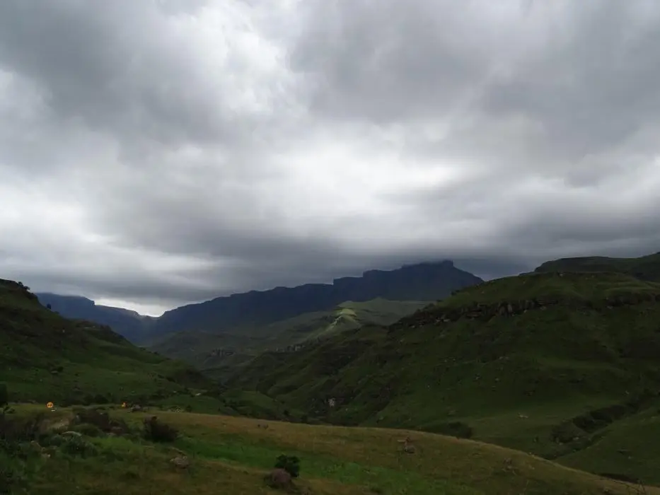 KZN13.jpg(52).jpg