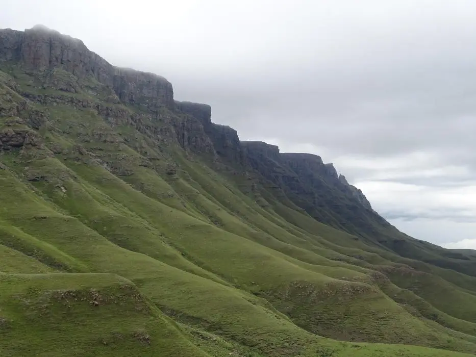 KZN13.jpg(69).jpg