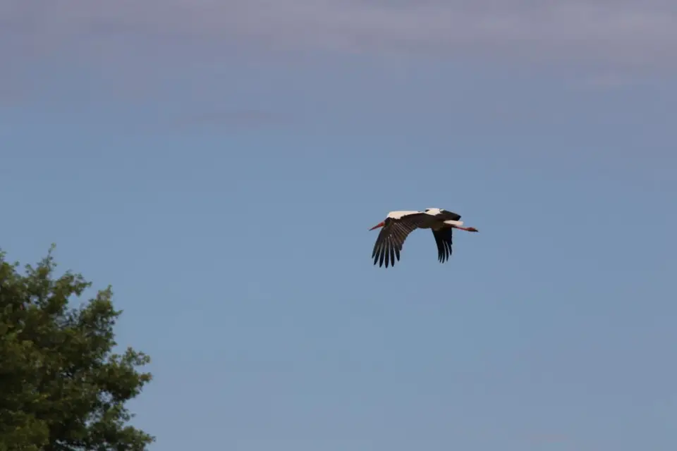 KZN14.jpg(132).jpg