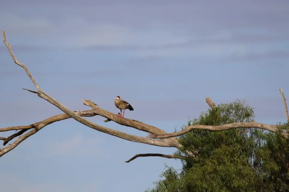 KZN14.jpg(139).jpg