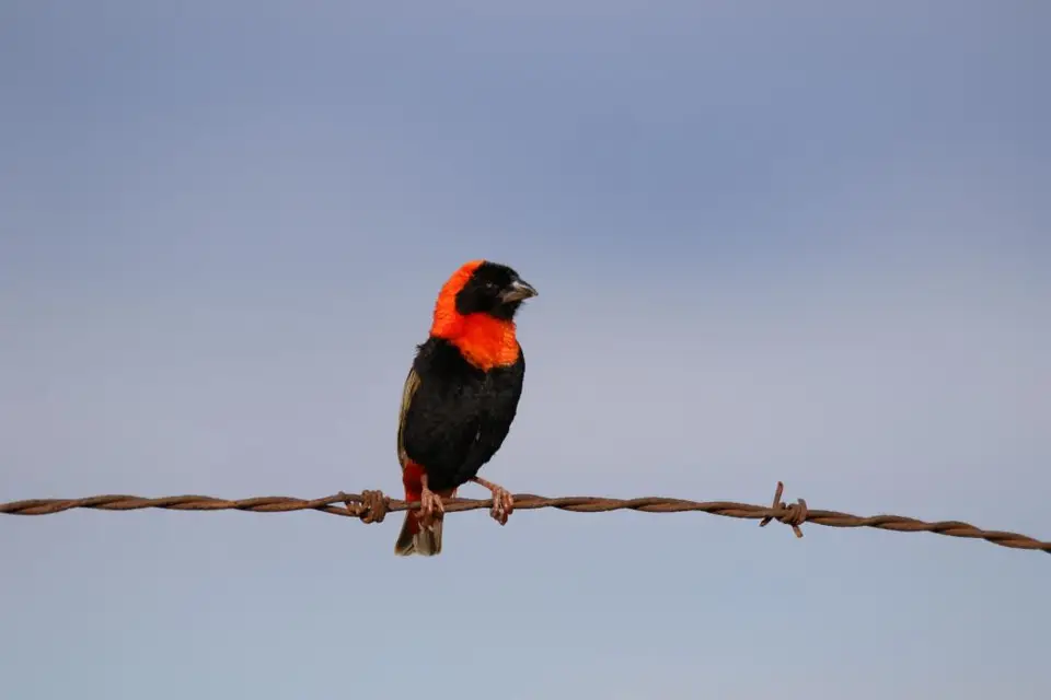 KZN14.jpg(140).jpg