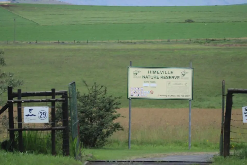 KZN14.jpg(142).jpg