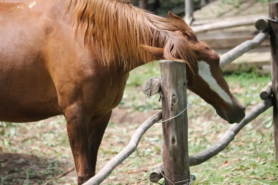 KZN14.jpg(28).jpg