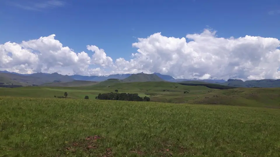 KZN14.jpg(41).jpg