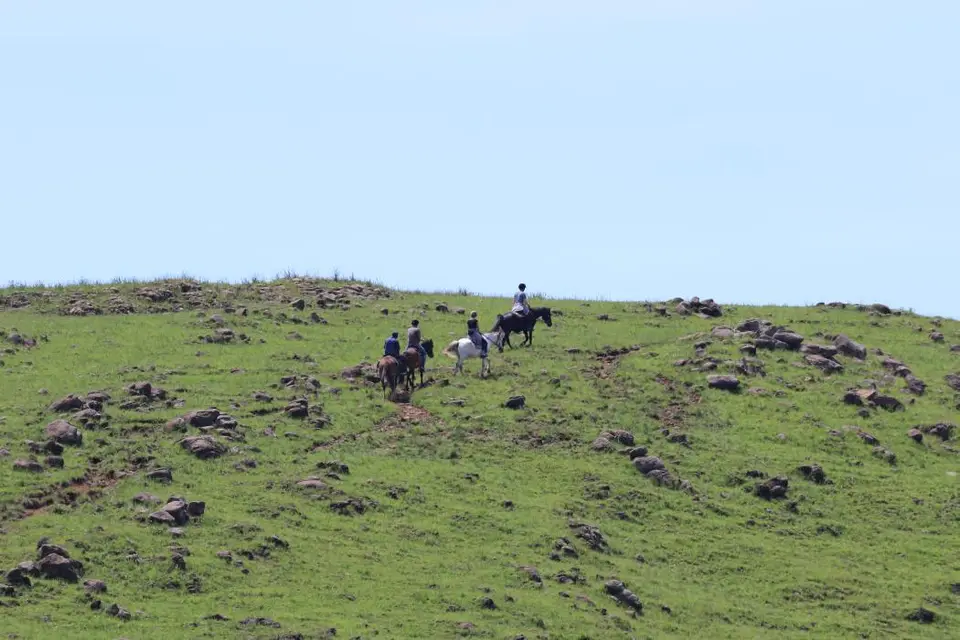 KZN14.jpg(42).jpg