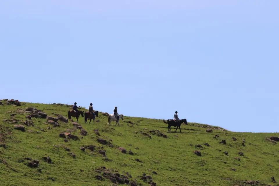 KZN14.jpg(43).jpg