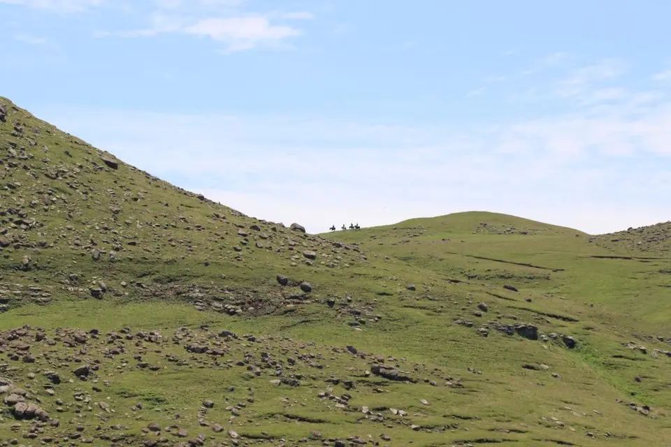 KZN14.jpg(56).jpg