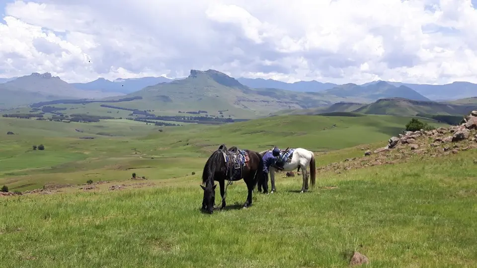 KZN14.jpg(58).jpg