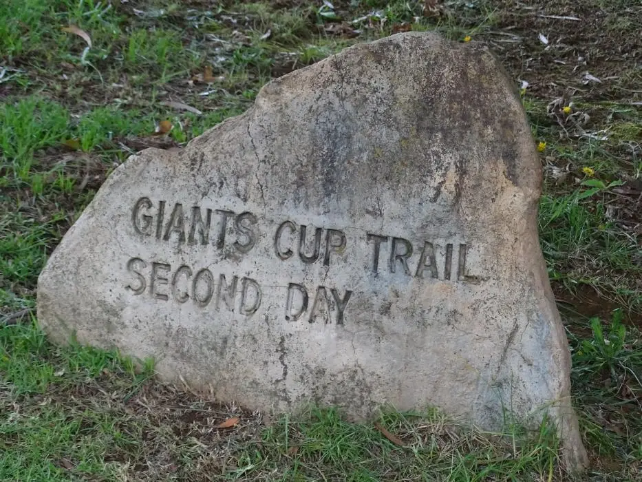 KZN14.jpg(78).jpg