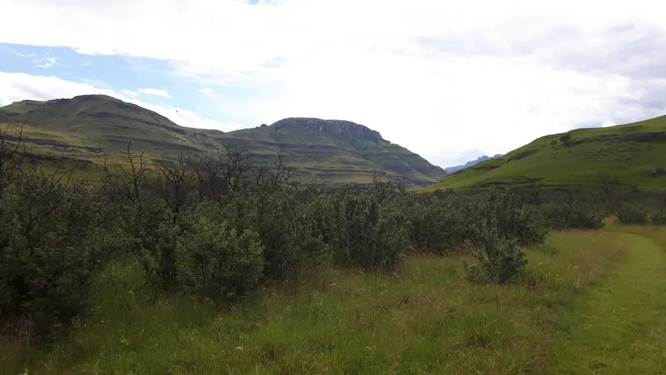 KZN14.jpg(86).jpg