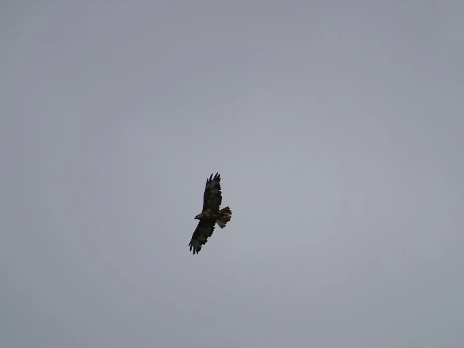 KZN14.jpg(88).jpg