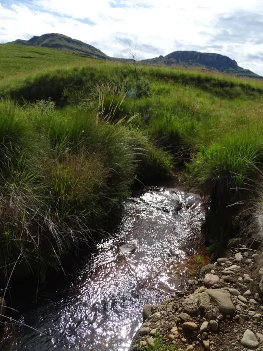 KZN14.jpg(99).jpg