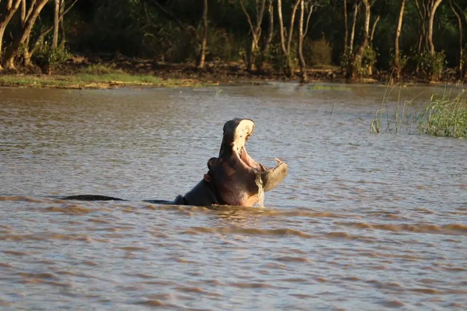 KZN15.jpg(115).jpg