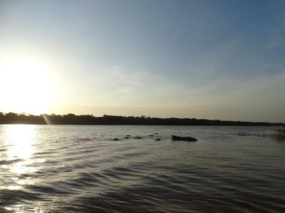 KZN15.jpg(120).jpg