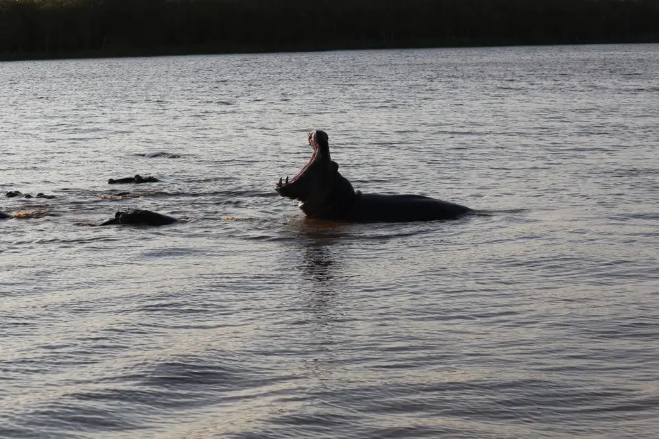 KZN15.jpg(123).jpg