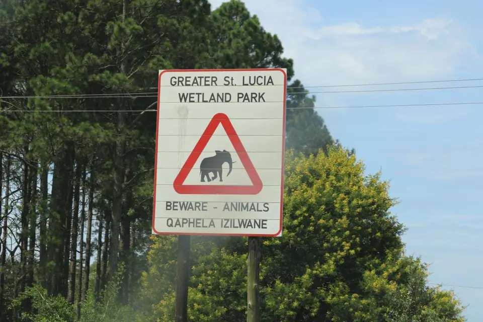 KZN15.jpg(47).jpg