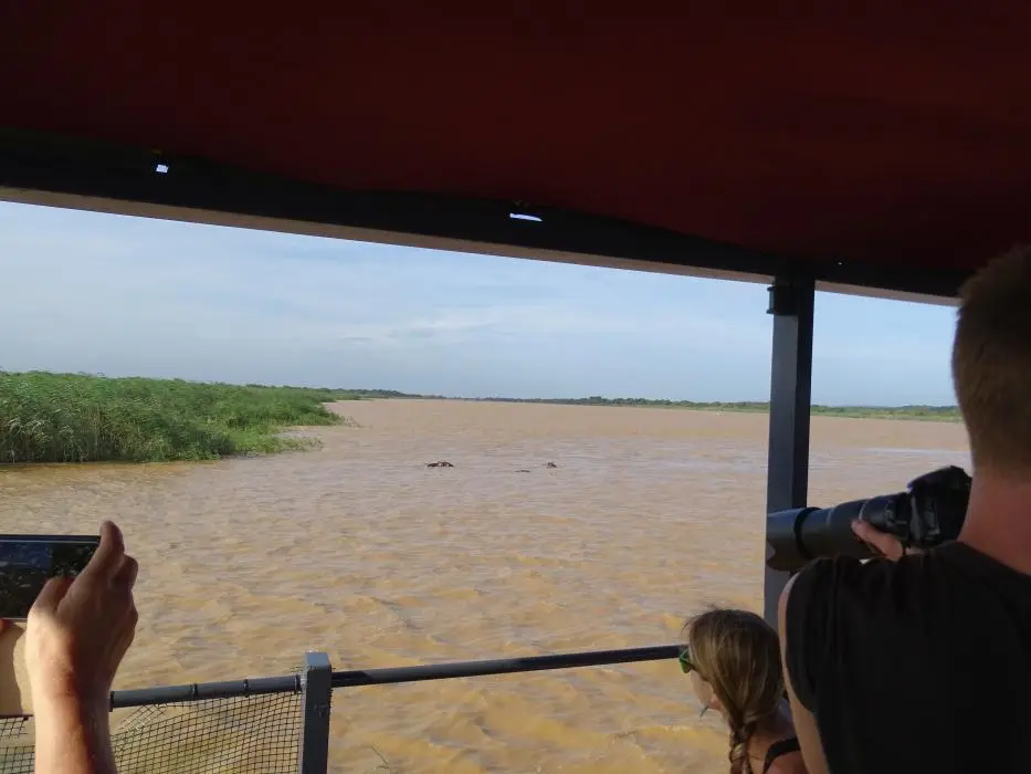 KZN15.jpg(71).jpg