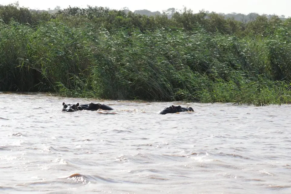 KZN15.jpg(75).jpg