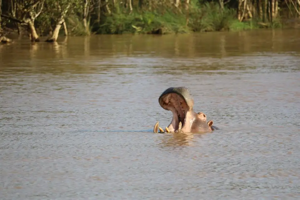 KZN15.jpg(82).jpg