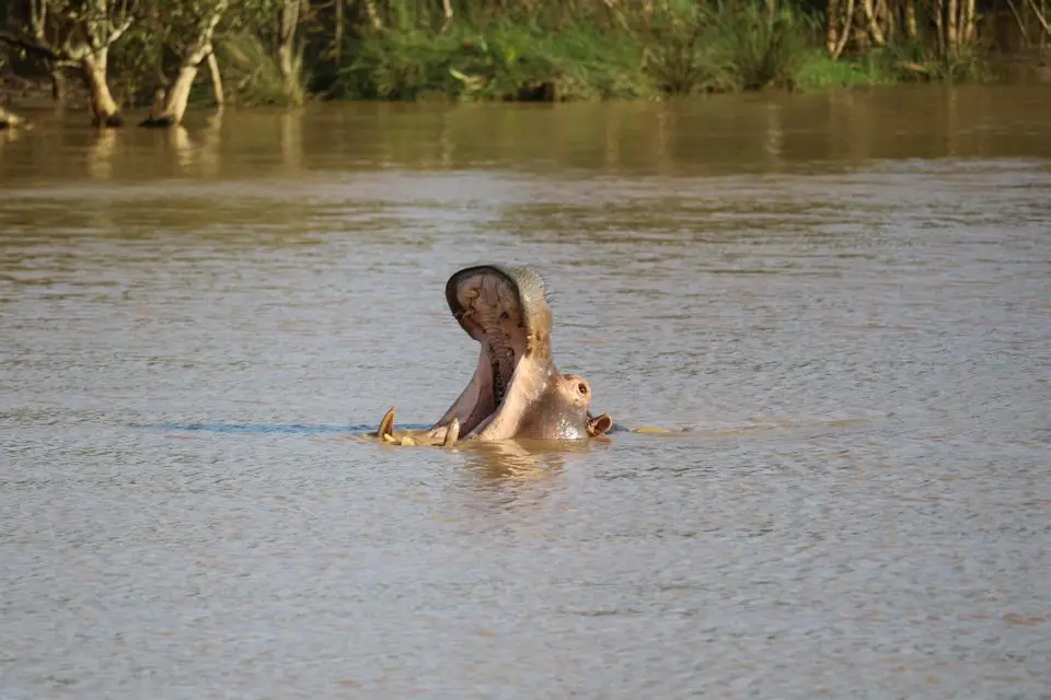 KZN15.jpg(83).jpg