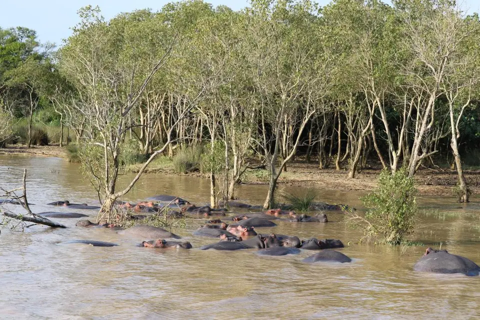 KZN15.jpg(94).jpg