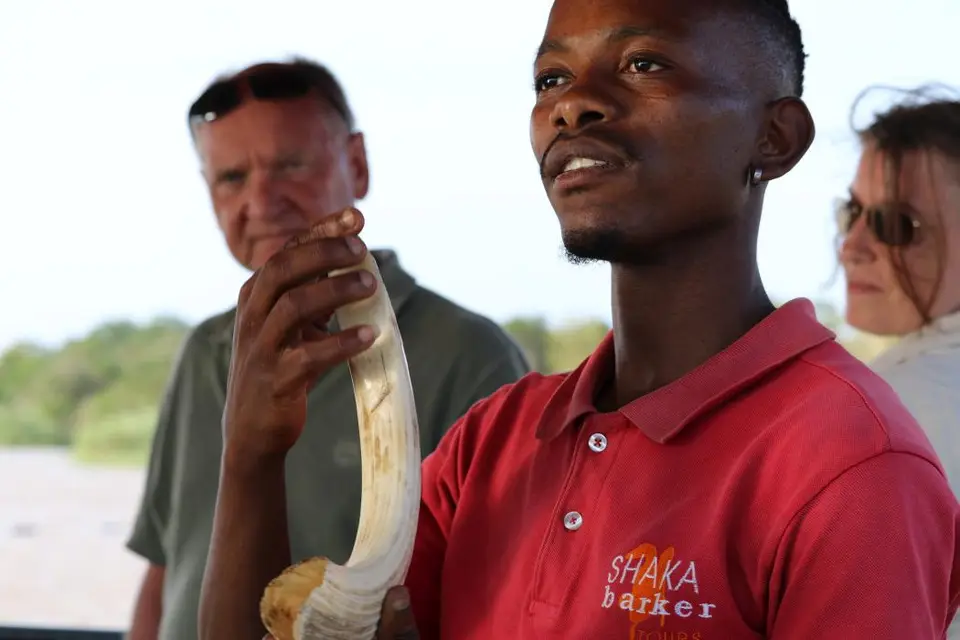 KZN15.jpg(96).jpg