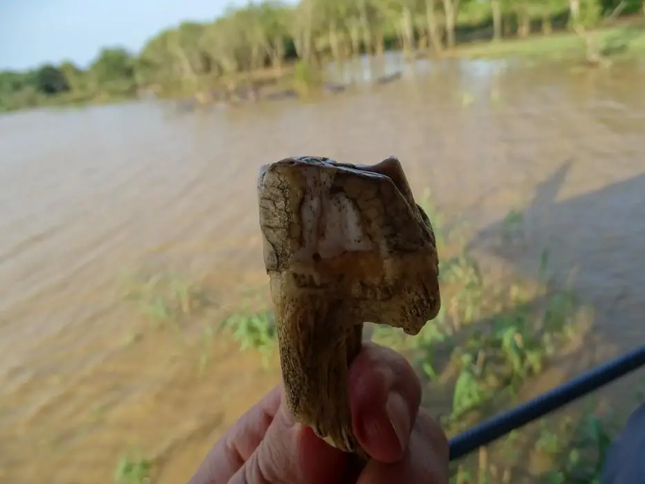 KZN15.jpg(97).jpg