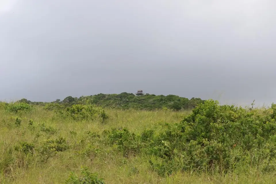 KZN16.jpg(147).jpg
