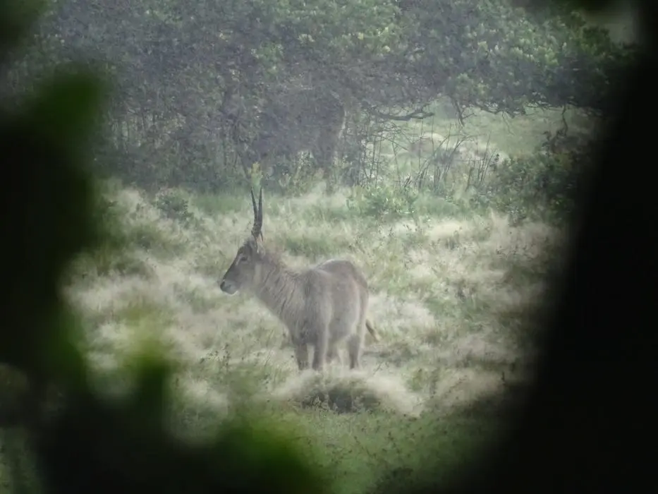 KZN16.jpg(178).jpg